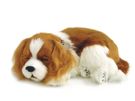 09Original - Cavalier King Charles For Discount