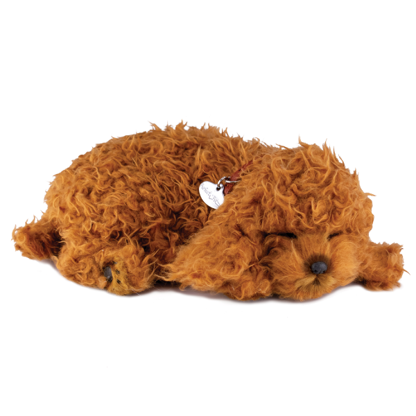 16Original - Toy Poodle Discount