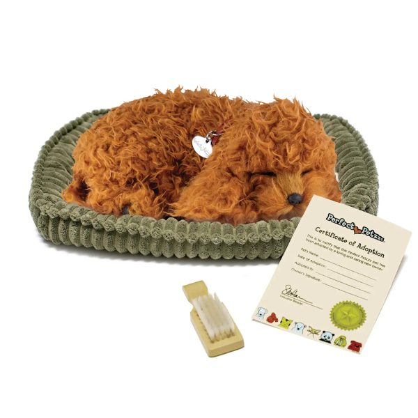 16Original - Toy Poodle Discount